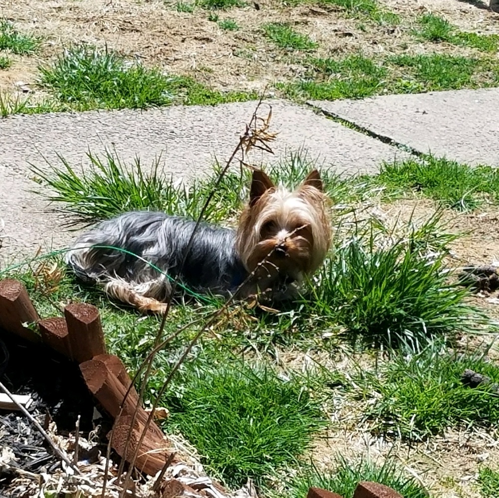 Meet your Posher, Tanya